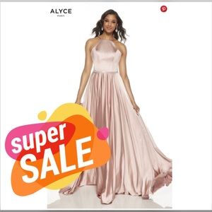 Alyce Paris BLUSH Long formal